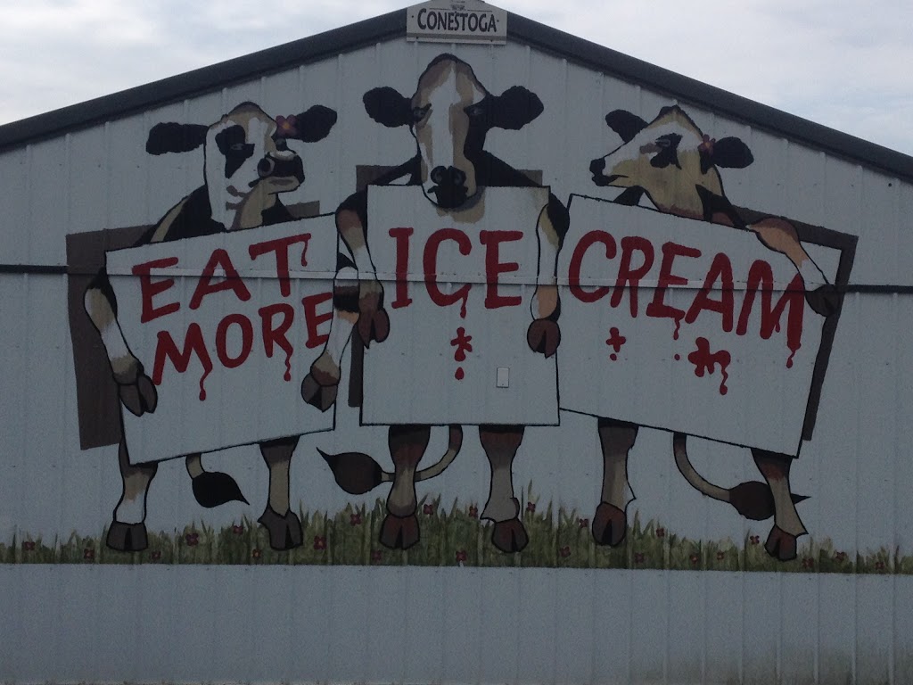 Grochowicz Farm Market & Mama Gs Ice Cream | 2401 NJ-31, Glen Gardner, NJ 08826 | Phone: (908) 537-6130