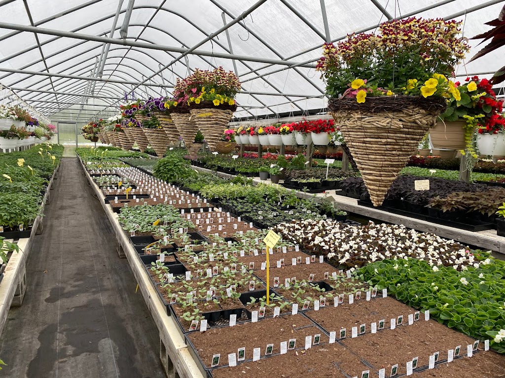 Rose Valley Greenhouse | 1288 Rose Valley School Rd, Dover, DE 19904 | Phone: (302) 734-2681