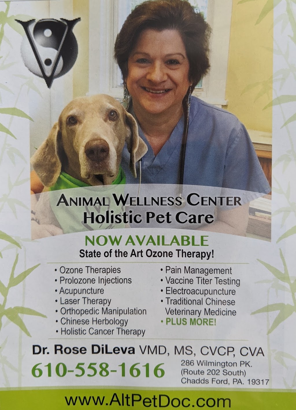 Animal Wellness Center | 286 Wilmington West Chester Pike, Chadds Ford, PA 19317 | Phone: (610) 558-1616