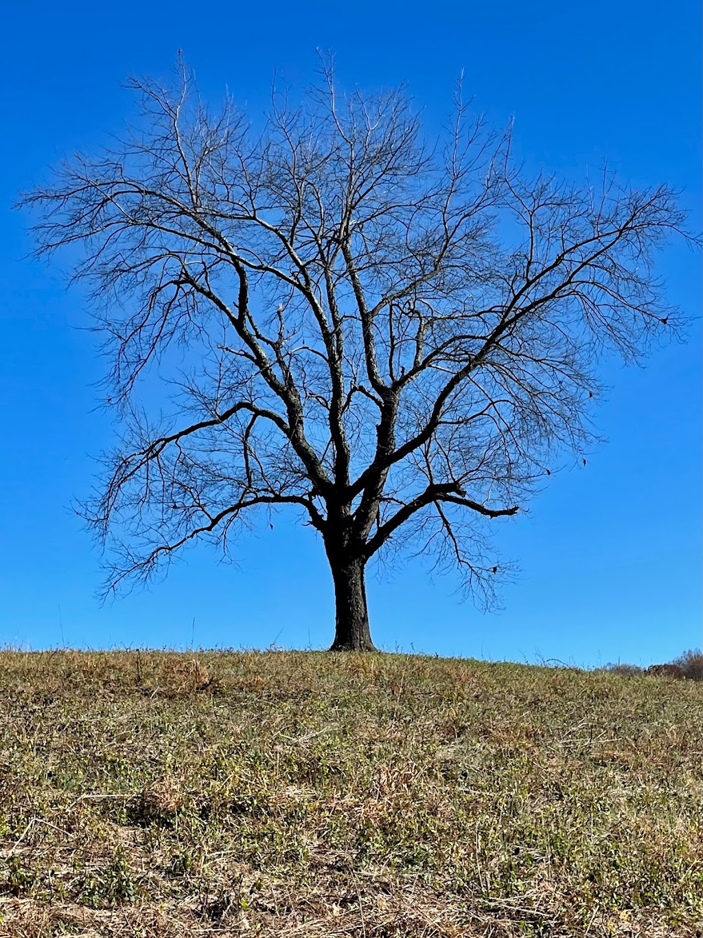 Natural Lands Binky Lee Preserve | 1445 Pikeland Rd, Chester Springs, PA 19425 | Phone: (610) 353-5587