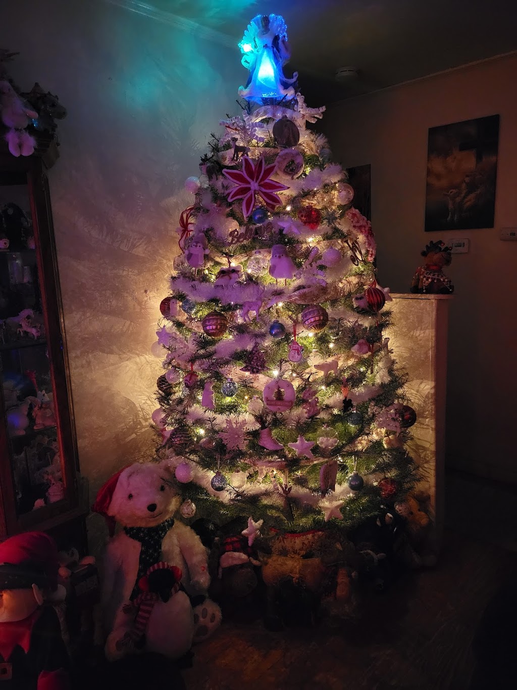 Knowles Christmas Trees and Seasonal Flowers | 5639 Bensalem Blvd, Bensalem, PA 19020 | Phone: (267) 566-6519