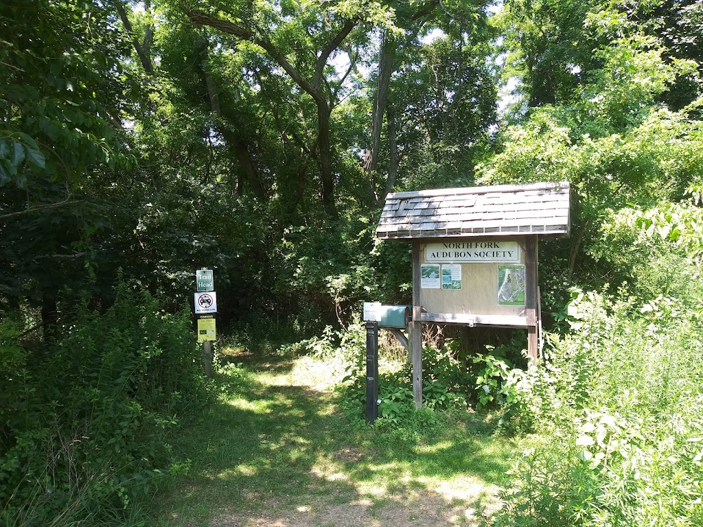 North Fork Audubon Society | 65275 County Rd 48, Greenport, NY 11944 | Phone: (631) 477-6456