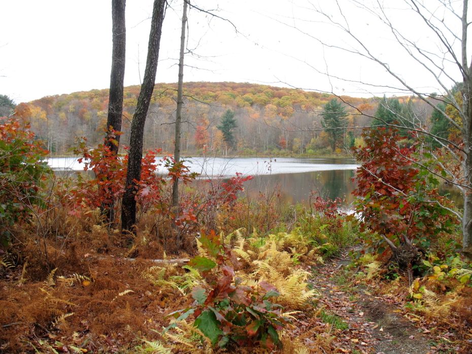 Beebe Hill State Forest | County Rte 5, Austerlitz, NY 12017 | Phone: (518) 392-3362