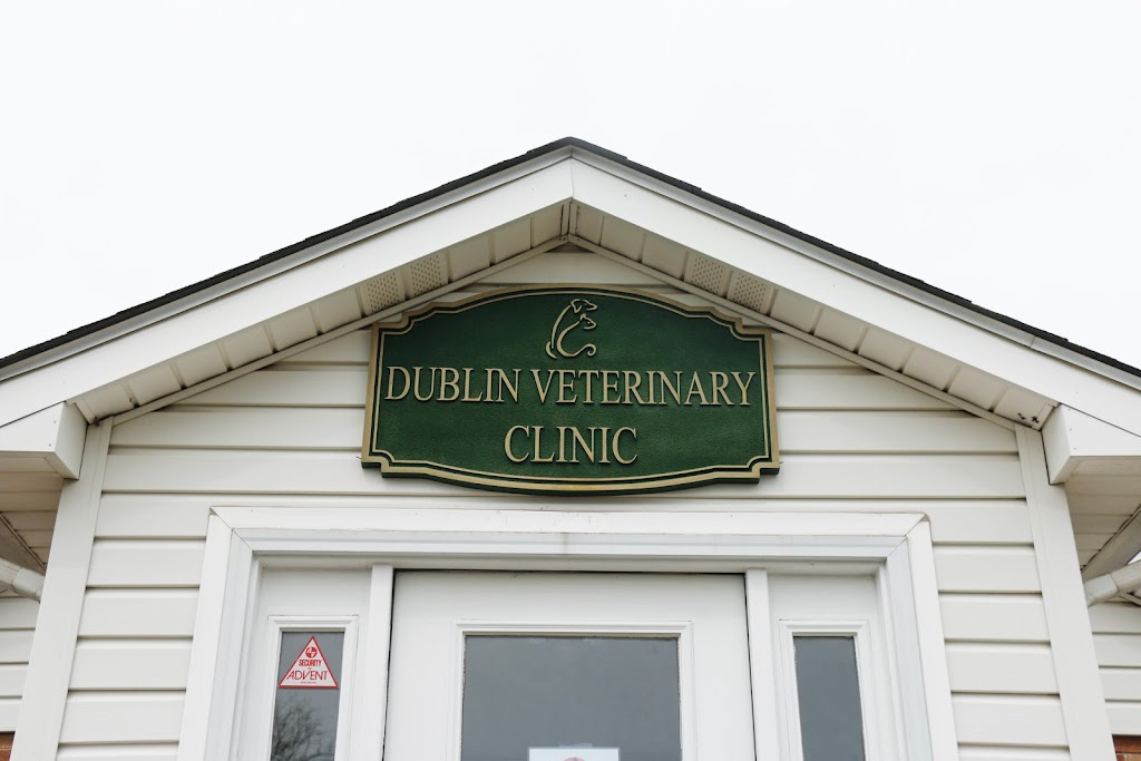 Dublin Veterinary Hospital | 391 W Dublin Pike, Perkasie, PA 18944 | Phone: (215) 249-9800