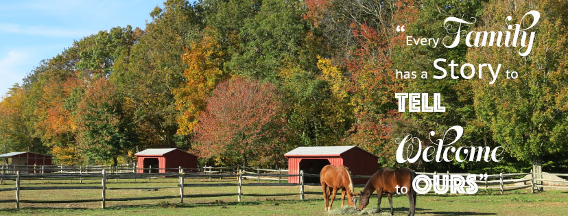 High Hopes Therapeutic Riding Inc. | 36 Town Woods Rd, Old Lyme, CT 06371 | Phone: (860) 434-1974