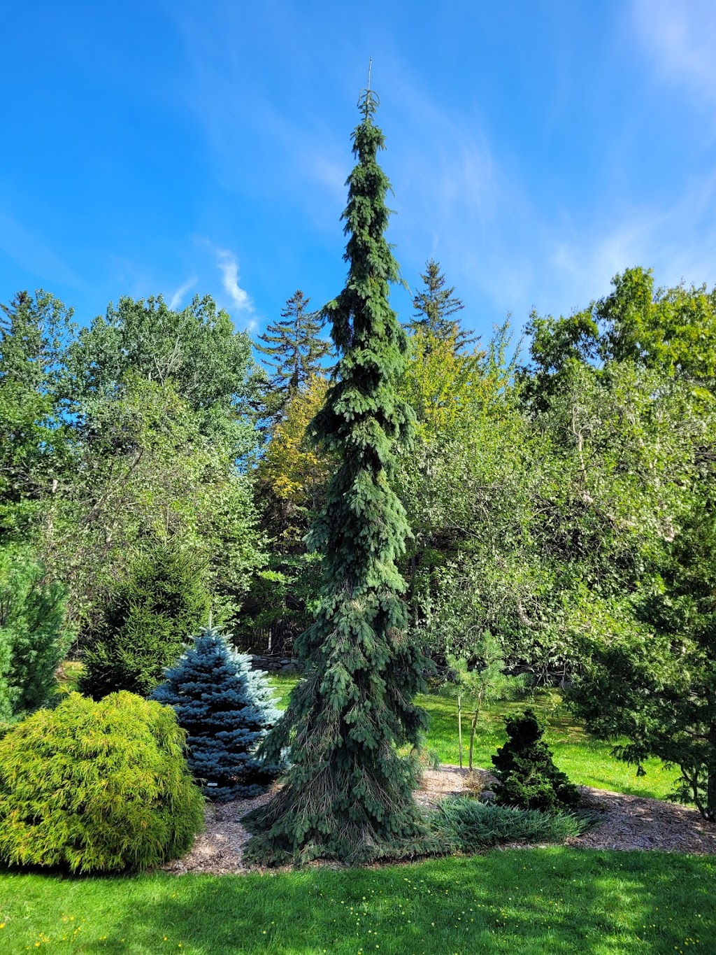 Mountain Top Arboretum | 4 Maude Adams Rd, Tannersville, NY 12485 | Phone: (518) 589-3903