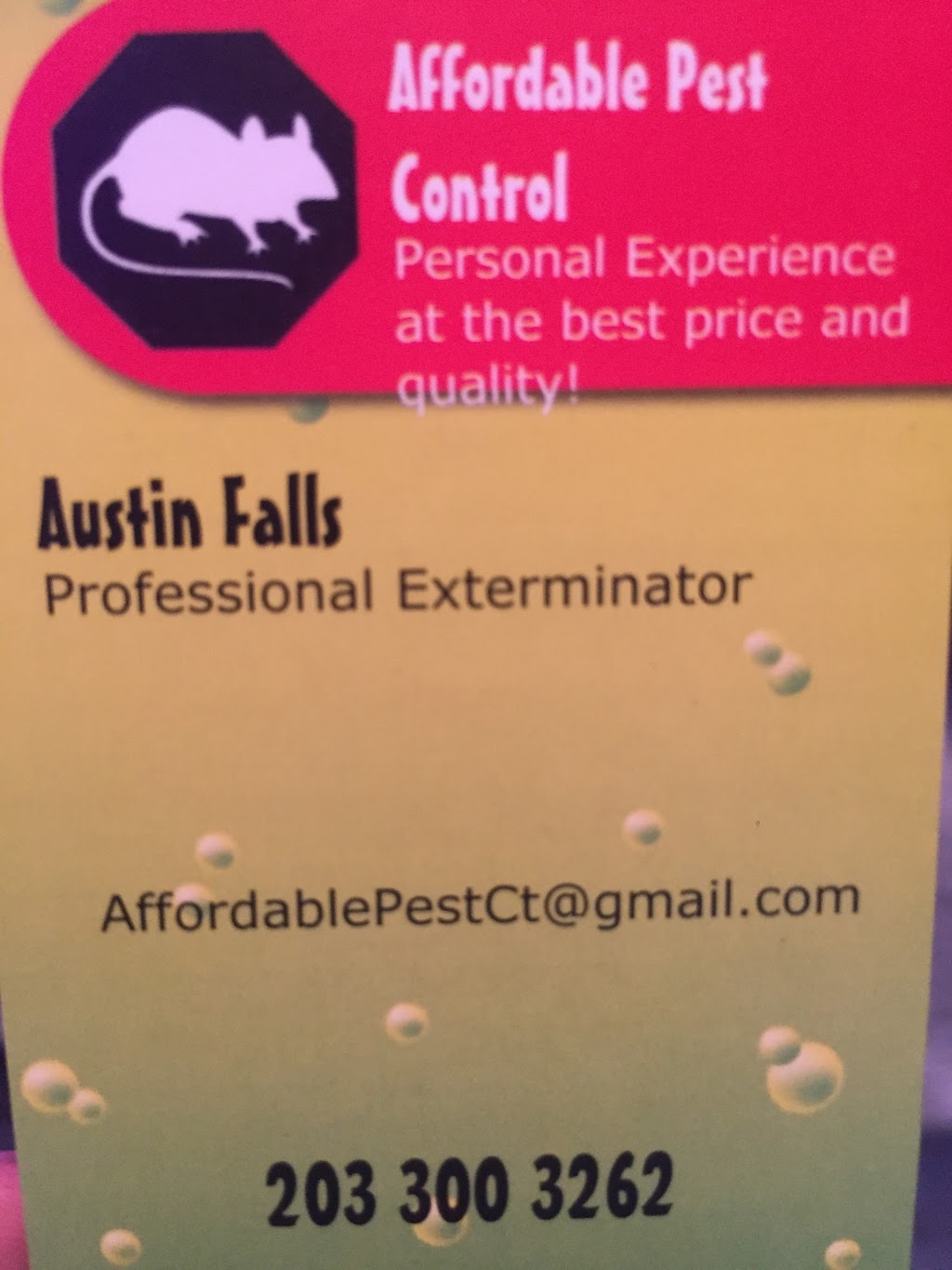 Affordable pest control | 24 Staples St, Danbury, CT 06810 | Phone: (475) 206-3764