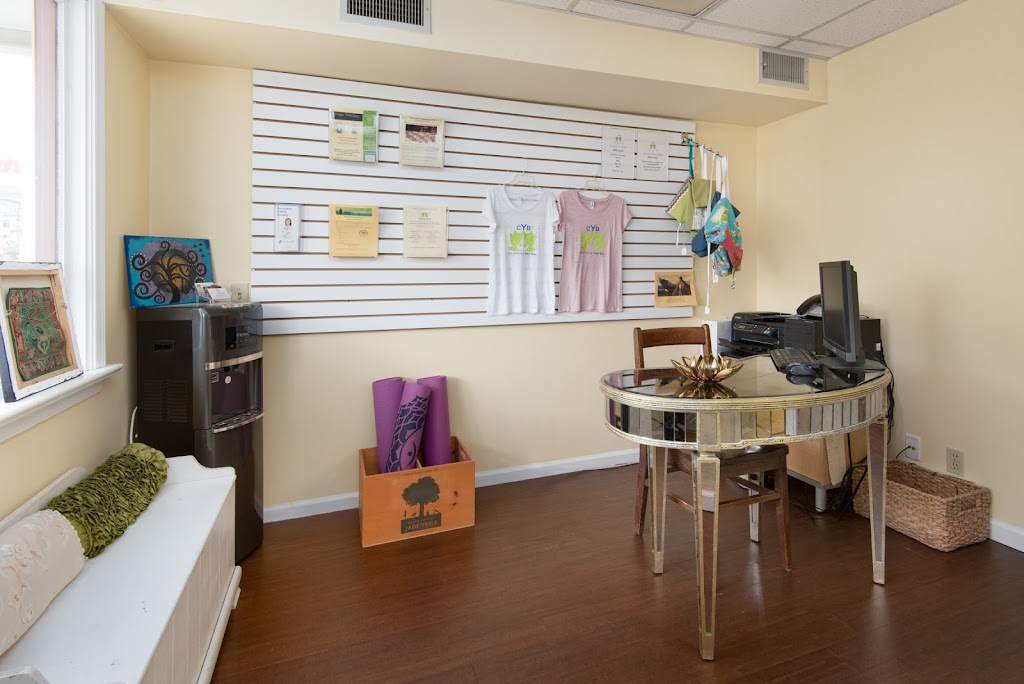 Collegeville Yoga Bar | 3606 Ridge Pike, Collegeville, PA 19426 | Phone: (610) 733-8918