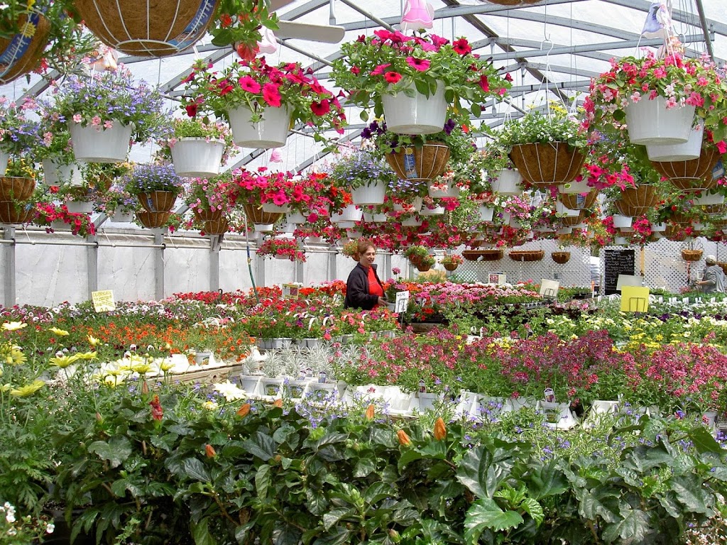 Ginder Greenhouse & Garden Center Inc. | 558 Lake Minsi Dr, Bangor, PA 18013 | Phone: (610) 588-0222