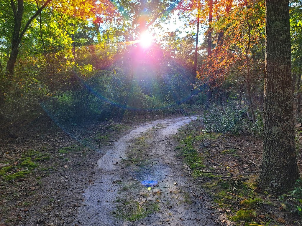 Warren E. Fox Nature Center | 109 NJ-50, Mays Landing, NJ 08330 | Phone: (609) 625-1897