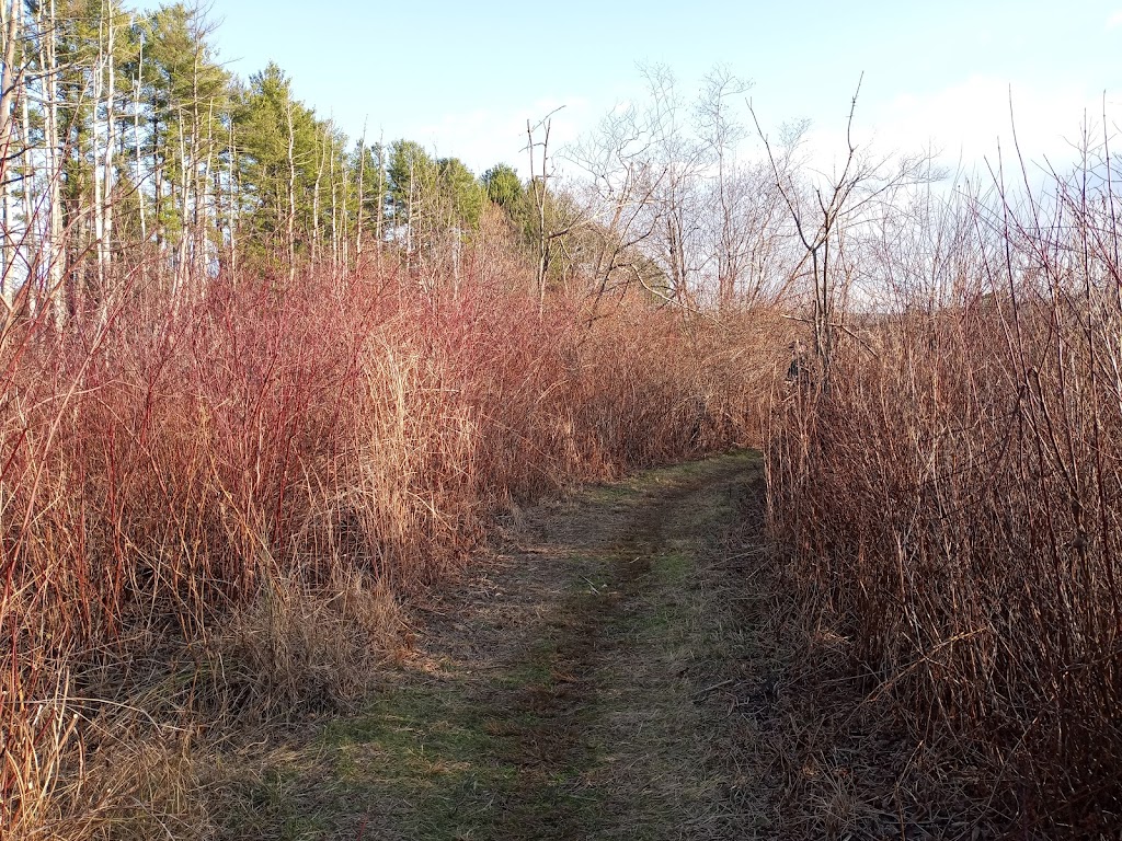 Mass Audubon Canoe Meadows Wildlife Sanctuary | 309 Holmes Rd, Pittsfield, MA 01201 | Phone: (413) 637-0320