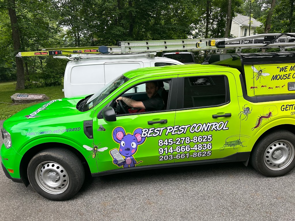Best Pest Control, Inc. | 81 Maple Wood Dr, Brewster, NY 10509 | Phone: (845) 278-8625