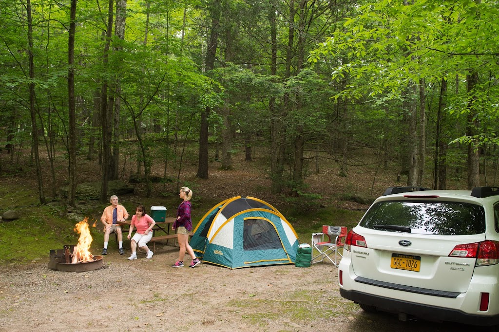 Skyway Camping Resort | 99 Mountaindale Rd, Greenfield Park, NY 12435 | Phone: (845) 647-5747