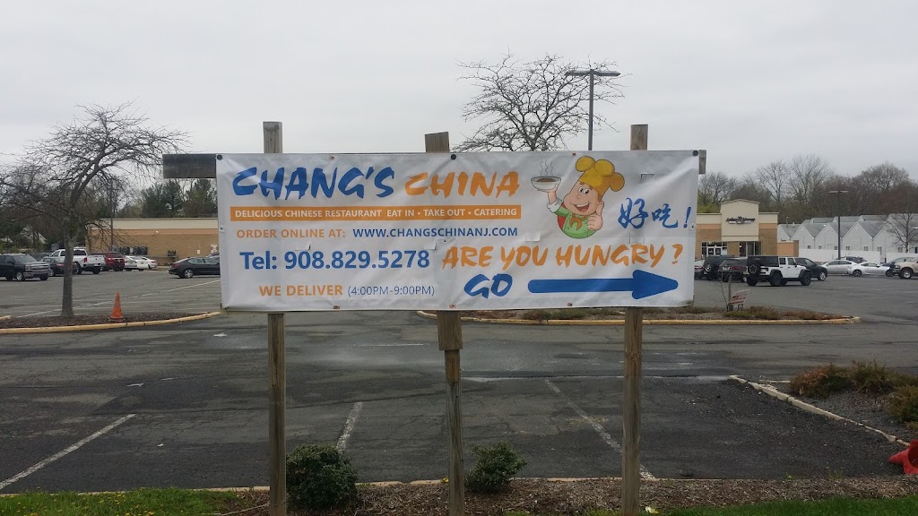 Changs China | 256 US-206 #6, Hillsborough Township, NJ 08844 | Phone: (908) 829-5278