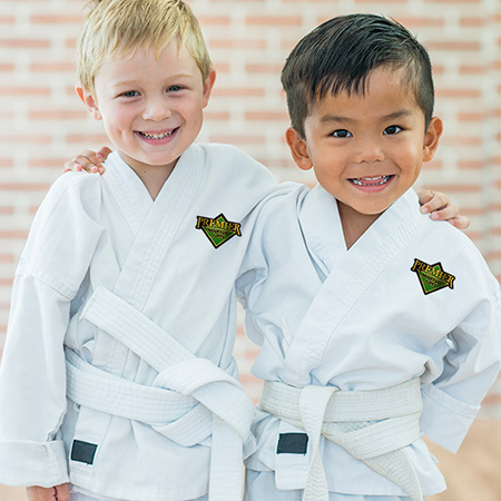 Premier Martial Arts Scarsdale | 1469-1471 Weaver St, Scarsdale, NY 10583 | Phone: (914) 826-4876