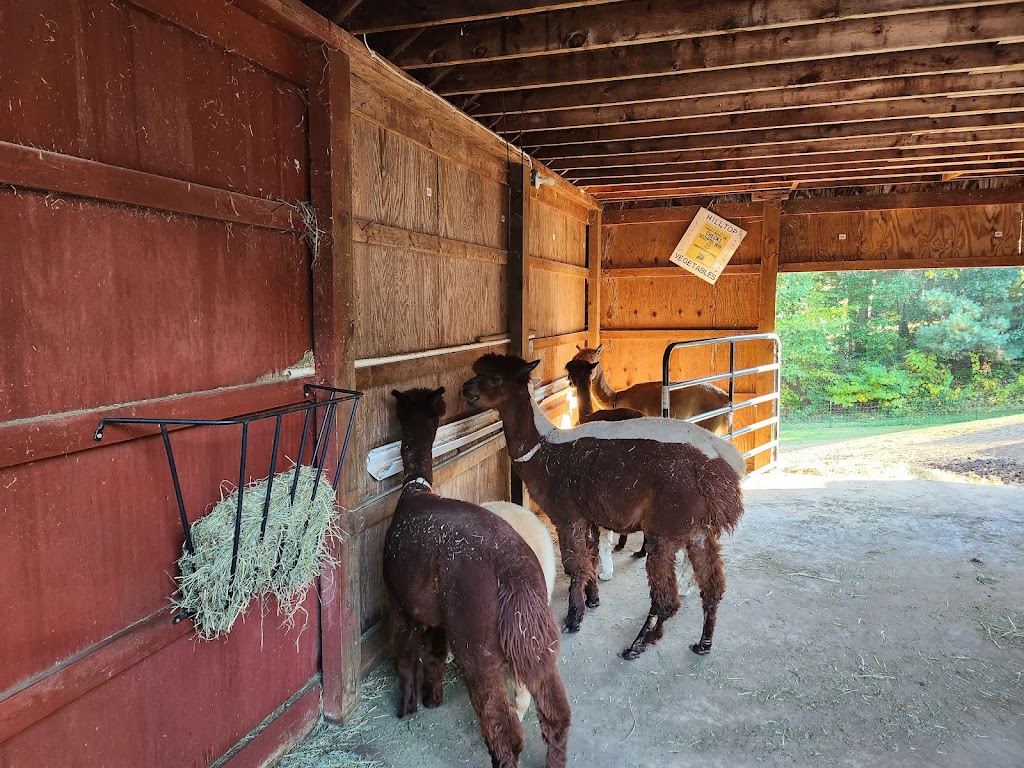 Farmstead Ice Cream at Tonns Marketplace | 418 Milford St Suite A, Burlington, CT 06013 | Phone: (860) 470-7856