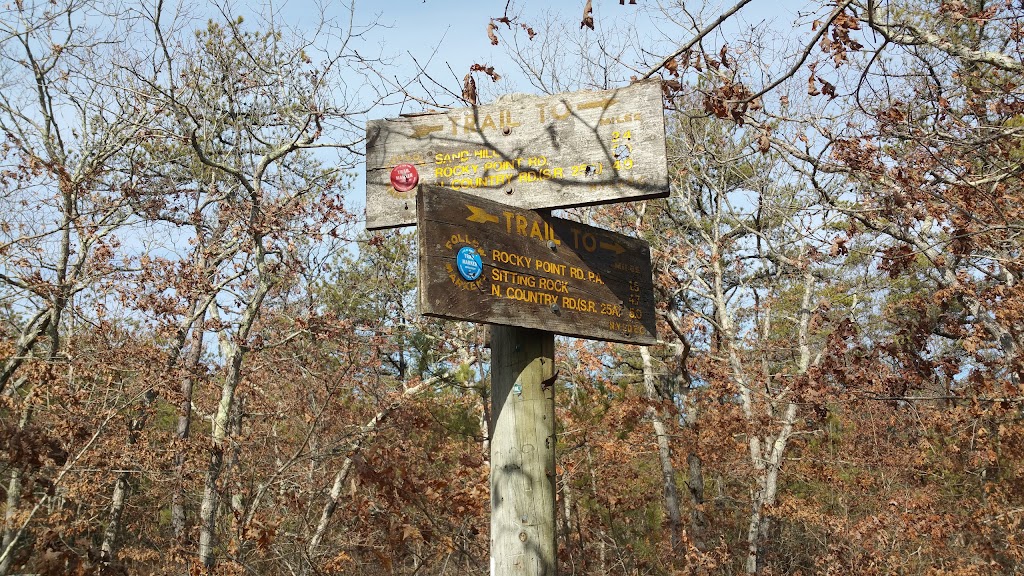 Rocky Point State Pine Barrens Preserve | NY-25A, Rocky Point, NY 11778 | Phone: (800) 456-2267