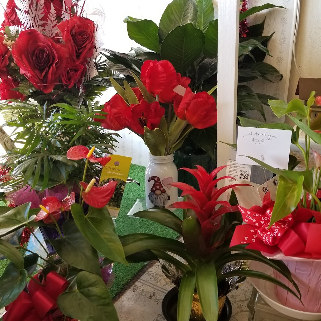 The Colonial Flower Shop | 20 New Paltz Plaza, 271 Main St, New Paltz, NY 12561 | Phone: (845) 255-5506