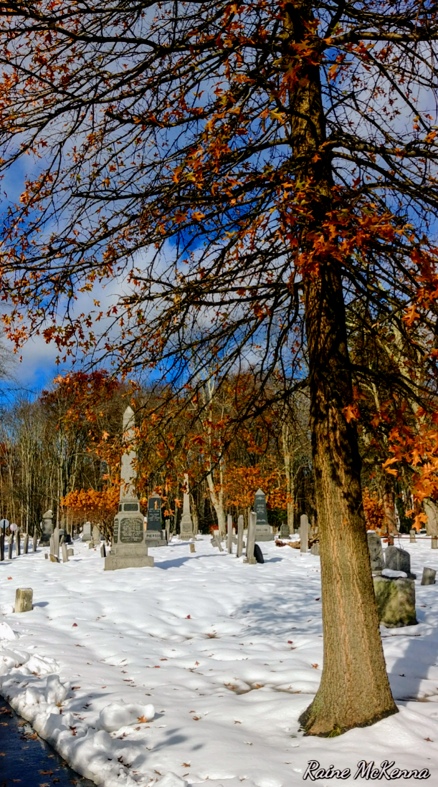Presbyterian Church Cemetery | 1307 Springfield Ave, New Providence, NJ 07974 | Phone: (908) 665-0050