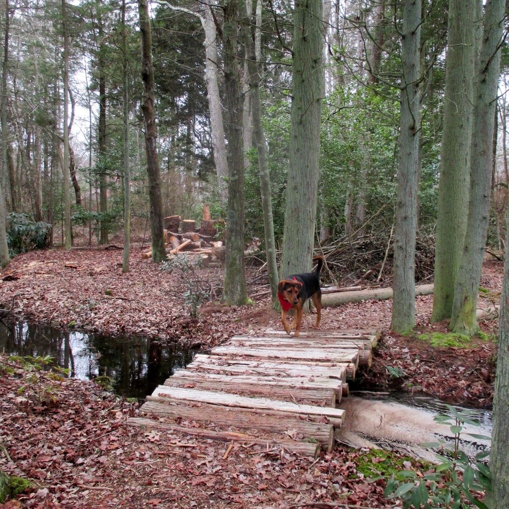 Whitesbog Preservation Trust | 120 W Whites Bogs Rd #34, Browns Mills, NJ 08015 | Phone: (609) 893-4646