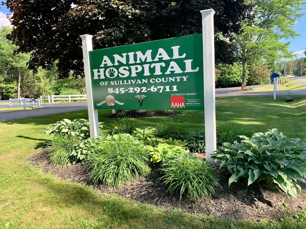 Animal Hospital of Sullivan County | 667 Harris Rd, Ferndale, NY 12734 | Phone: (845) 292-6711