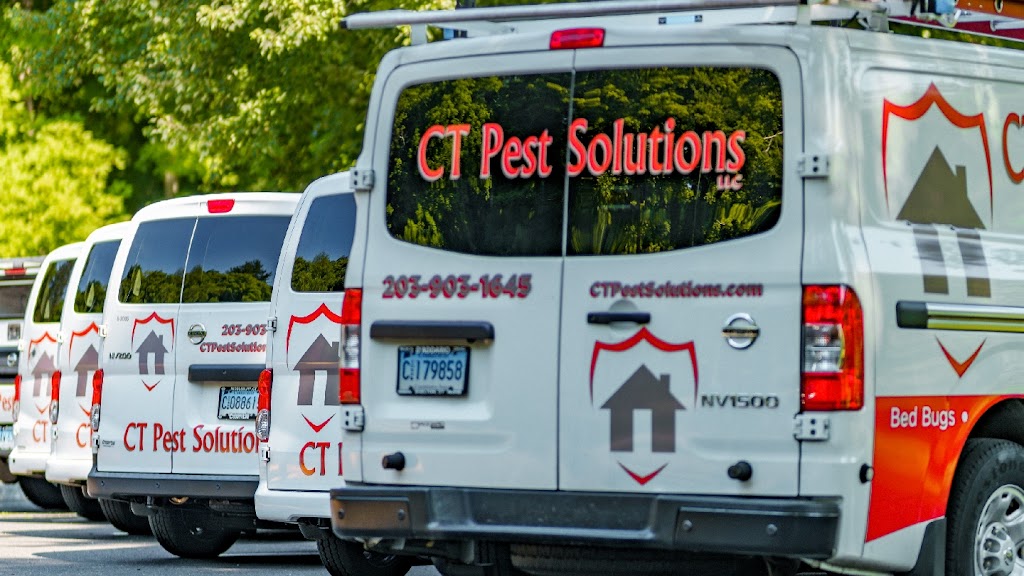 CT Pest Solutions | 734 Rubber Ave #2f, Naugatuck, CT 06770 | Phone: (203) 903-1645