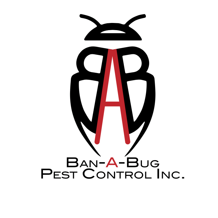 Ban-A-Bug Pest Control Inc. | 6 Oceanview Ave, Staten Island, NY 10312 | Phone: (718) 966-8812