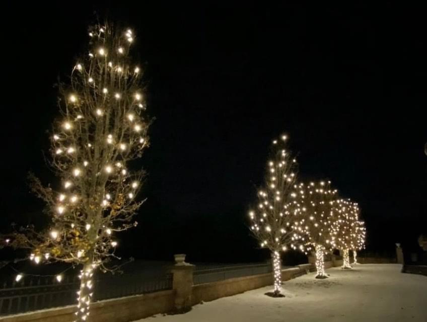 We Put Up Christmas Lights of Glen Ridge | 213 Sherman Ave, Glen Ridge, NJ 07028 | Phone: (973) 381-8794