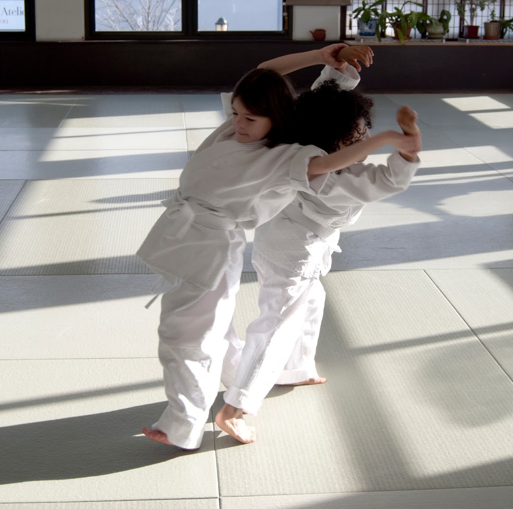 Aikido of Westchester | 218 E Hartsdale Ave, Hartsdale, NY 10530 | Phone: (914) 946-7805