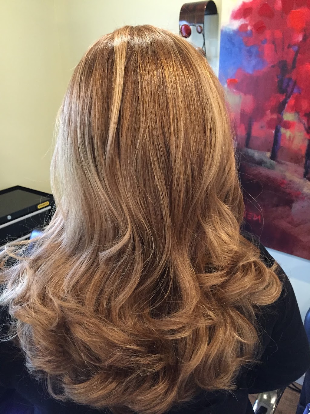 Camelion Hair Salon | 264 E Main St, Middletown, CT 06457 | Phone: (860) 894-2961