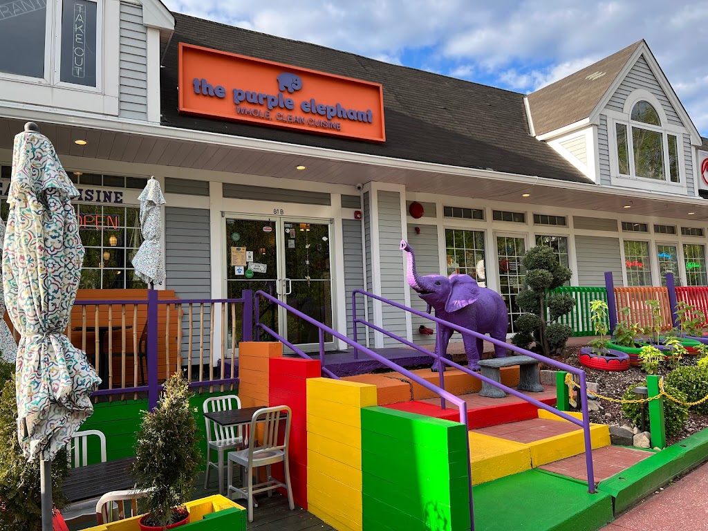 The Purple Elephant | 81b W Fort Salonga Rd, Northport, NY 11768 | Phone: (631) 651-5002