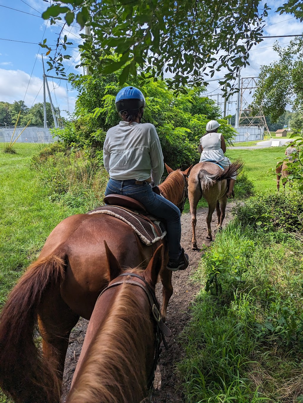 Fernwood Horseback Riding | 5785 Milford Rd, East Stroudsburg, PA 18302 | Phone: (888) 337-6966
