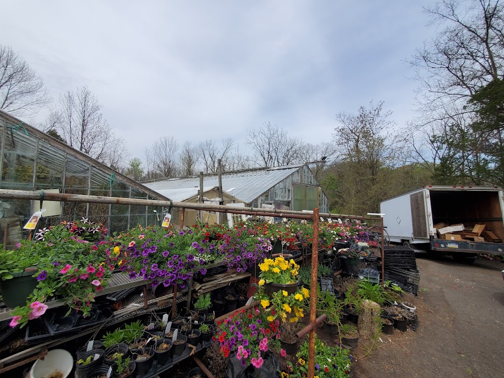 Meng Road Greenhouse | 27 Meng Rd, Schwenksville, PA 19473 | Phone: (610) 287-8356