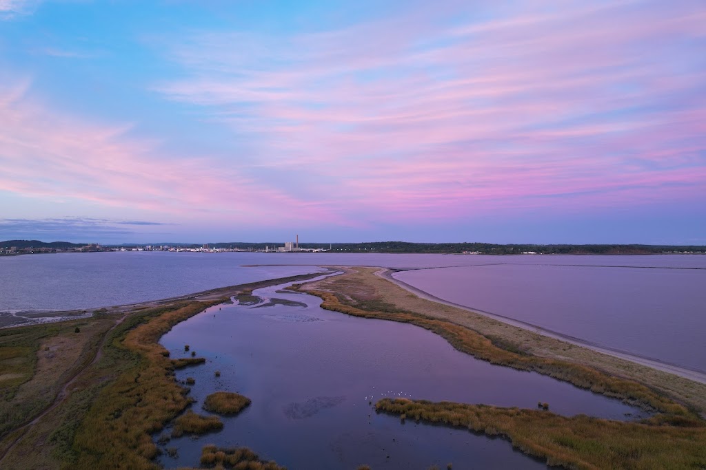 Sandy Point Bird Sanctuary | Beach St, West Haven, CT 06516 | Phone: (203) 937-3712