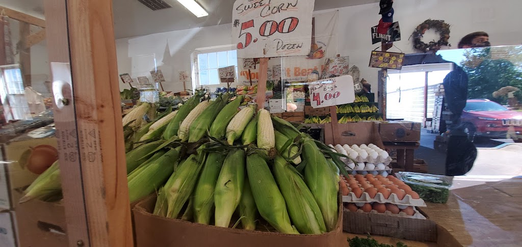 Jim and Ralphs Produce | 3941 Ridge Pike, Collegeville, PA 19426 | Phone: (610) 489-4822