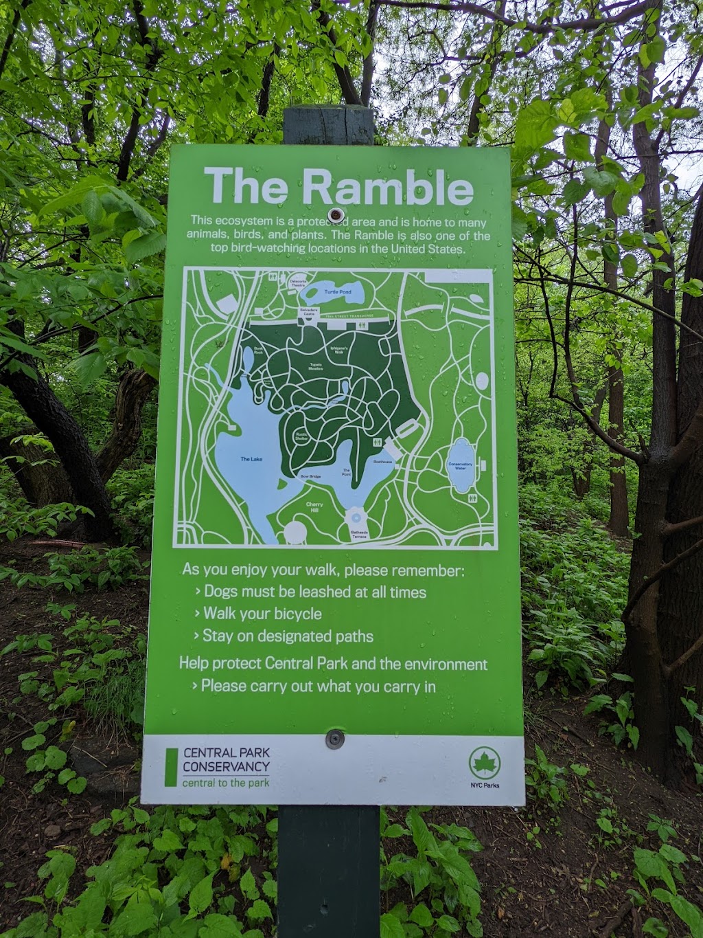 The Ramble | 79th St Transverse, New York, NY 10024 | Phone: (212) 310-6600