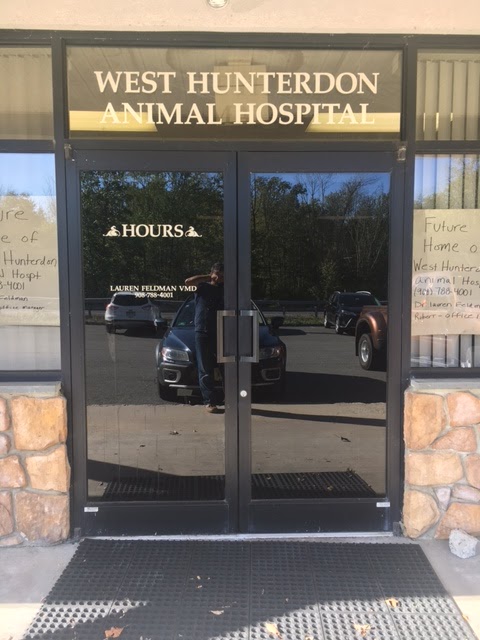 West Hunterdon Animal Hospital | 631 NJ-12, Flemington, NJ 08822 | Phone: (908) 788-4001
