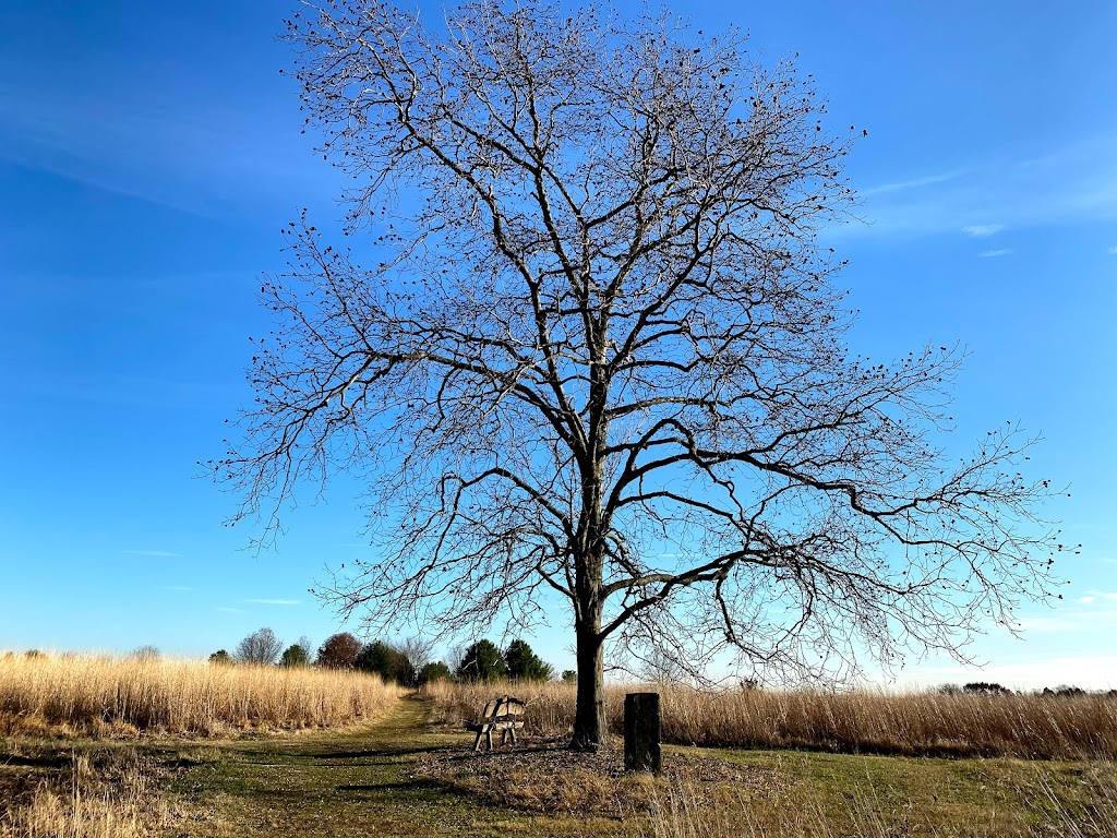 Natural Lands Gwynedd Preserve | 547 South Swedesford Rd, North Wales, PA 19454 | Phone: (610) 353-5587