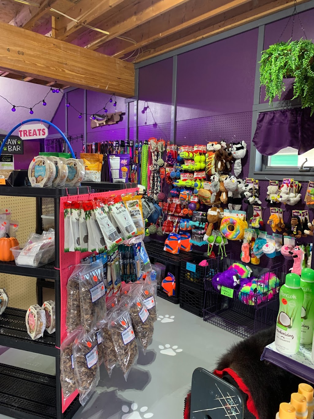 WE "R" WILD Affordable dog food & Supplies for Every Dog | Behind Dollar General, Across From Polk Elementary, 643 Interchange Rd, Kresgeville, PA 18333 | Phone: (610) 681-4117