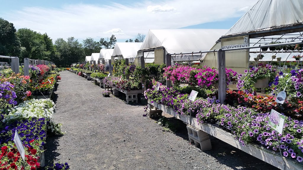 Gardens Dream | 355 Taylor Rd, Enfield, CT 06082 | Phone: (860) 835-6652