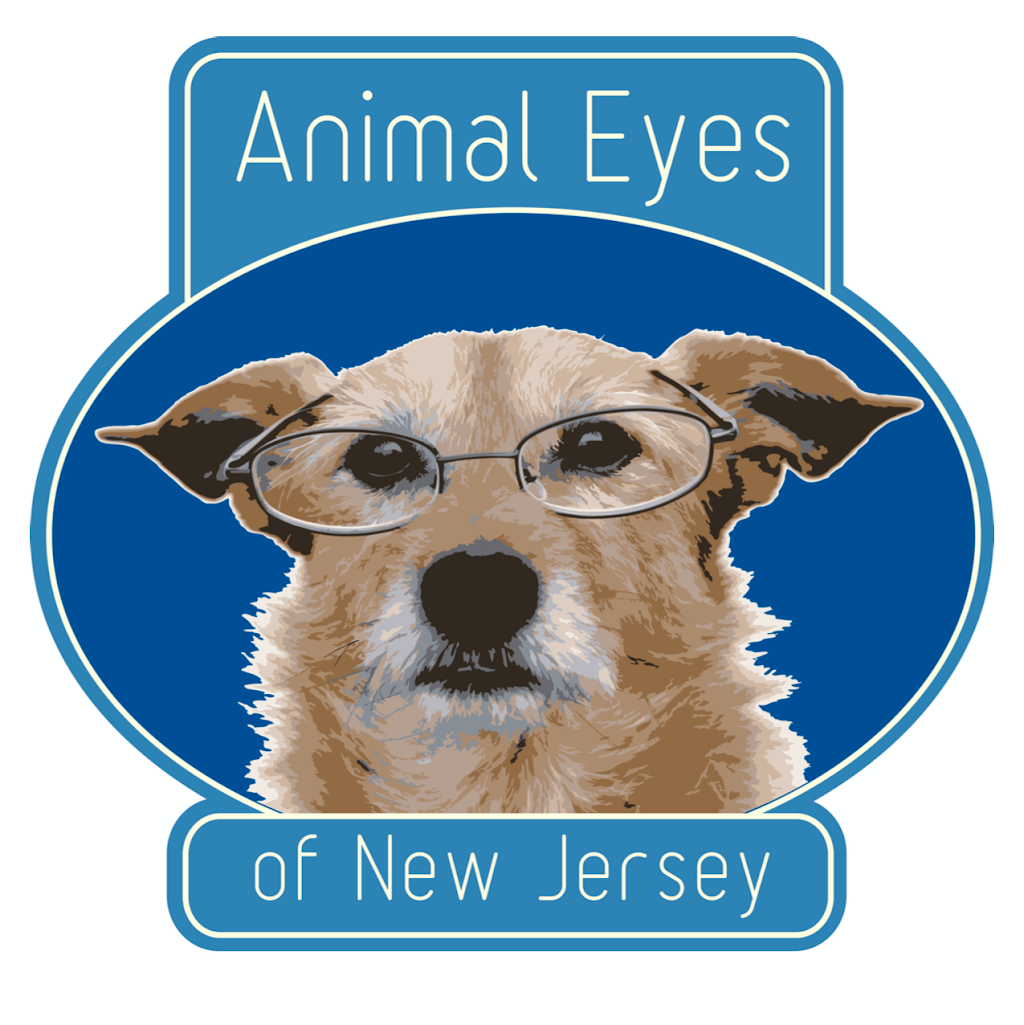 Animal Eyes of New Jersey/Veterinary Ophthalmology Services | 580 Winters Ave 21 US HWY 206 South 21 Blossom Hill Road Paramus, Raritan, 580 Winters Ave, Paramus, NJ 07652 | Phone: (201) 262-0010