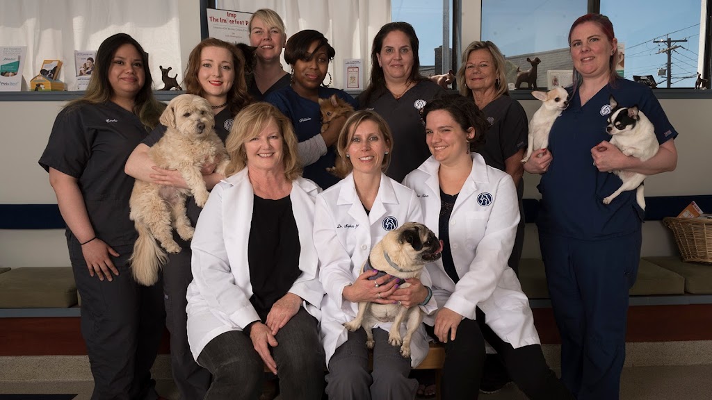Southport Veterinary Center | 2131 Post Rd, Fairfield, CT 06824 | Phone: (203) 259-5295