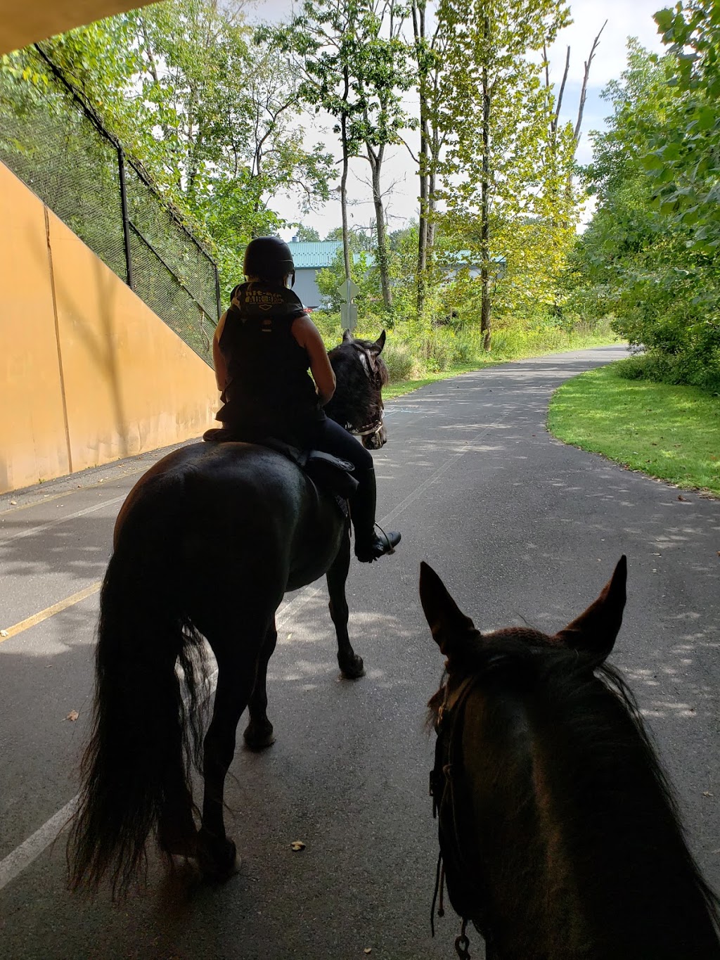 Marino Equestrian Campground | 2871-2899 Hill Rd, Green Lane, PA 18054 | Phone: (215) 234-4528