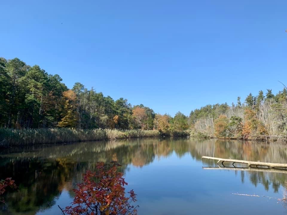 Enos Pond County Park | 330 E Lacey Rd, Forked River, NJ 08731 | Phone: (732) 506-9090