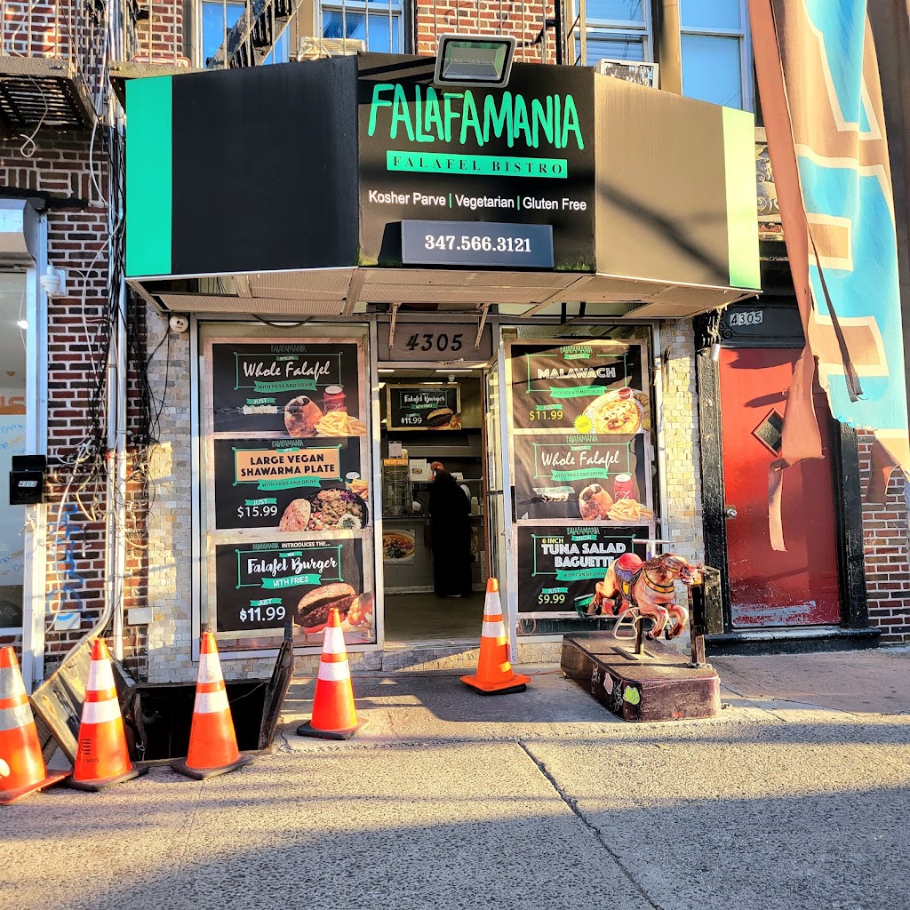 Falafamania | 4305 12th Ave, Brooklyn, NY 11219 | Phone: (347) 566-3121