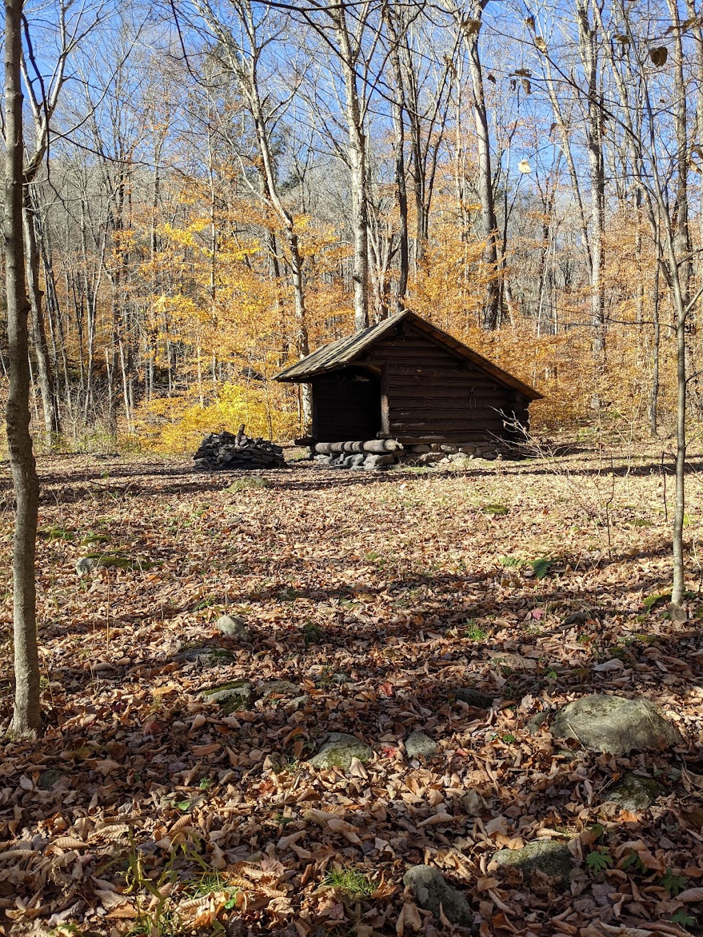 Big Indian Wilderness | Claryville, NY 12725 | Phone: (845) 256-3000
