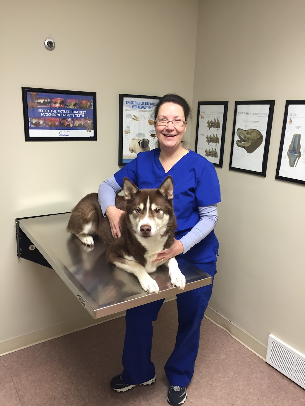 Animal Clinic Of Tower Drive | 303 Tower Dr, Middletown, NY 10941 | Phone: (845) 695-1323