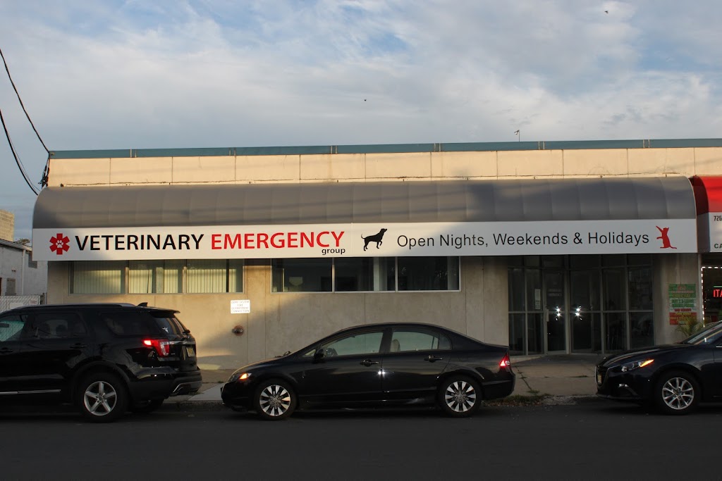 Veterinary Emergency Group | 790 NJ-3, Clifton, NJ 07012 | Phone: (201) 438-7122