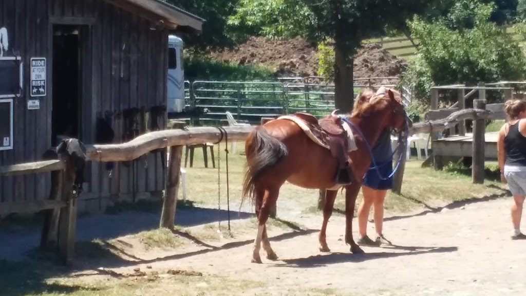 K&K Equestrian Center at Ravine Farm | 5203 Co Rd 67, East Durham, NY 12423 | Phone: (518) 966-4829