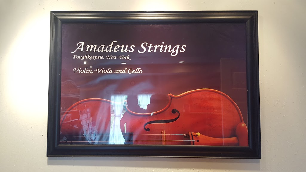 Amadeus Strings | 105 Wennington Dr, Poughkeepsie, NY 12603 | Phone: (845) 486-7617